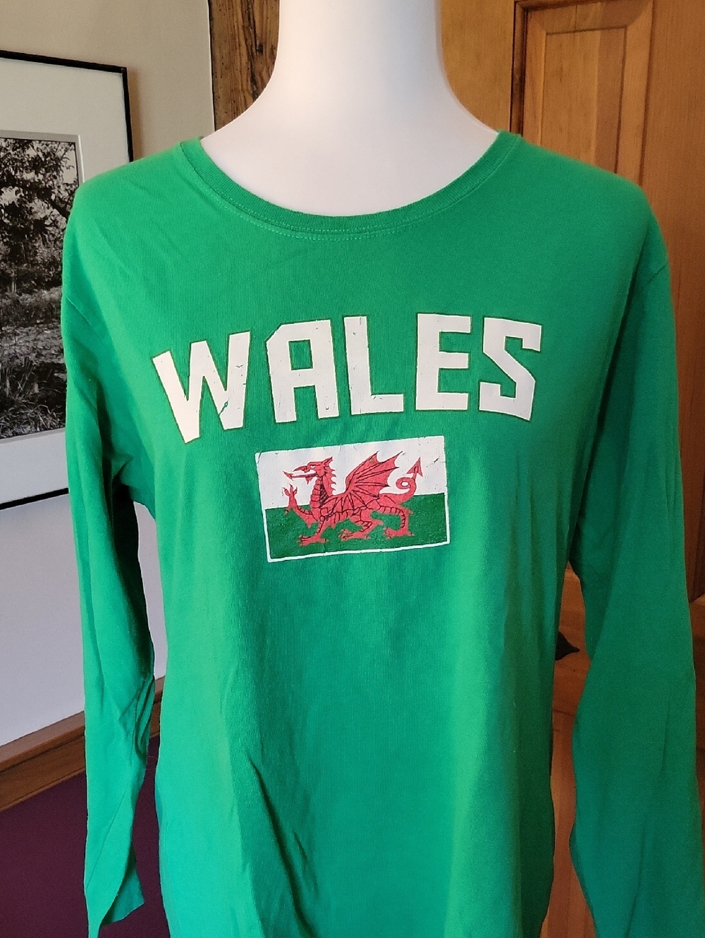Green Wales Graphic Long Sleeve Tee